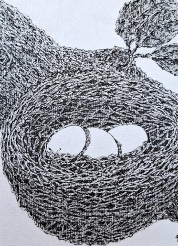 diseño sin título (29)